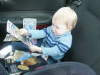 Photo Number 7