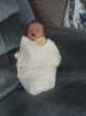 swaddled_small.jpg